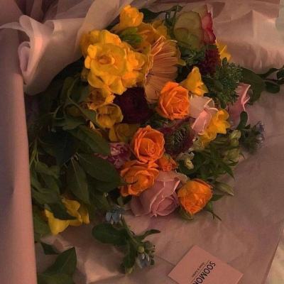 星空体育2024下载手机app下载