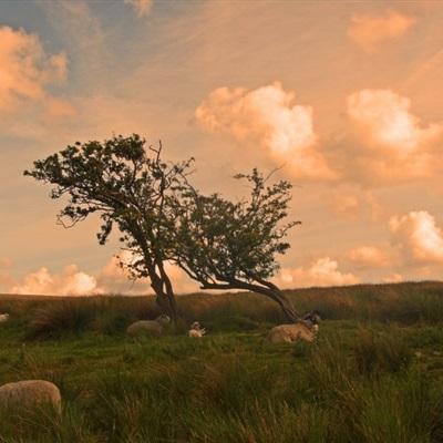 BET体育365投注官网