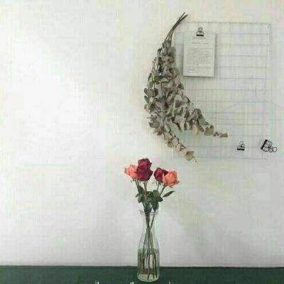 彩神lllv入口手机app下载