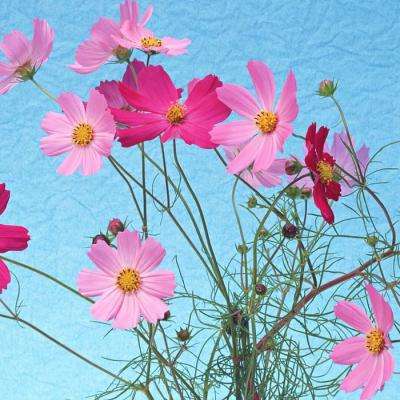 金年会体育下载app