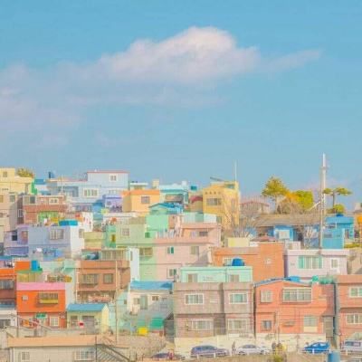 网络手机赌钱软件下载